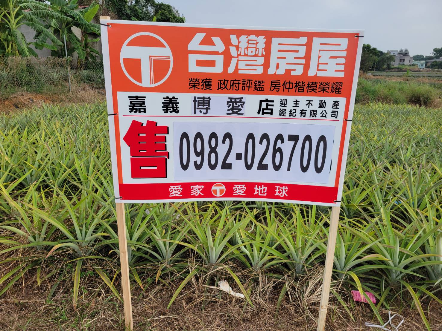 專賣嘉義精忠景觀絕佳稀有農地