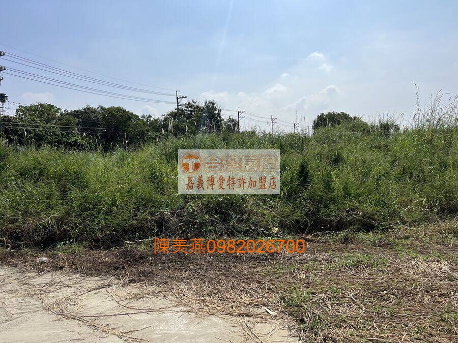 台南東山甲種建築用地+水利用地
