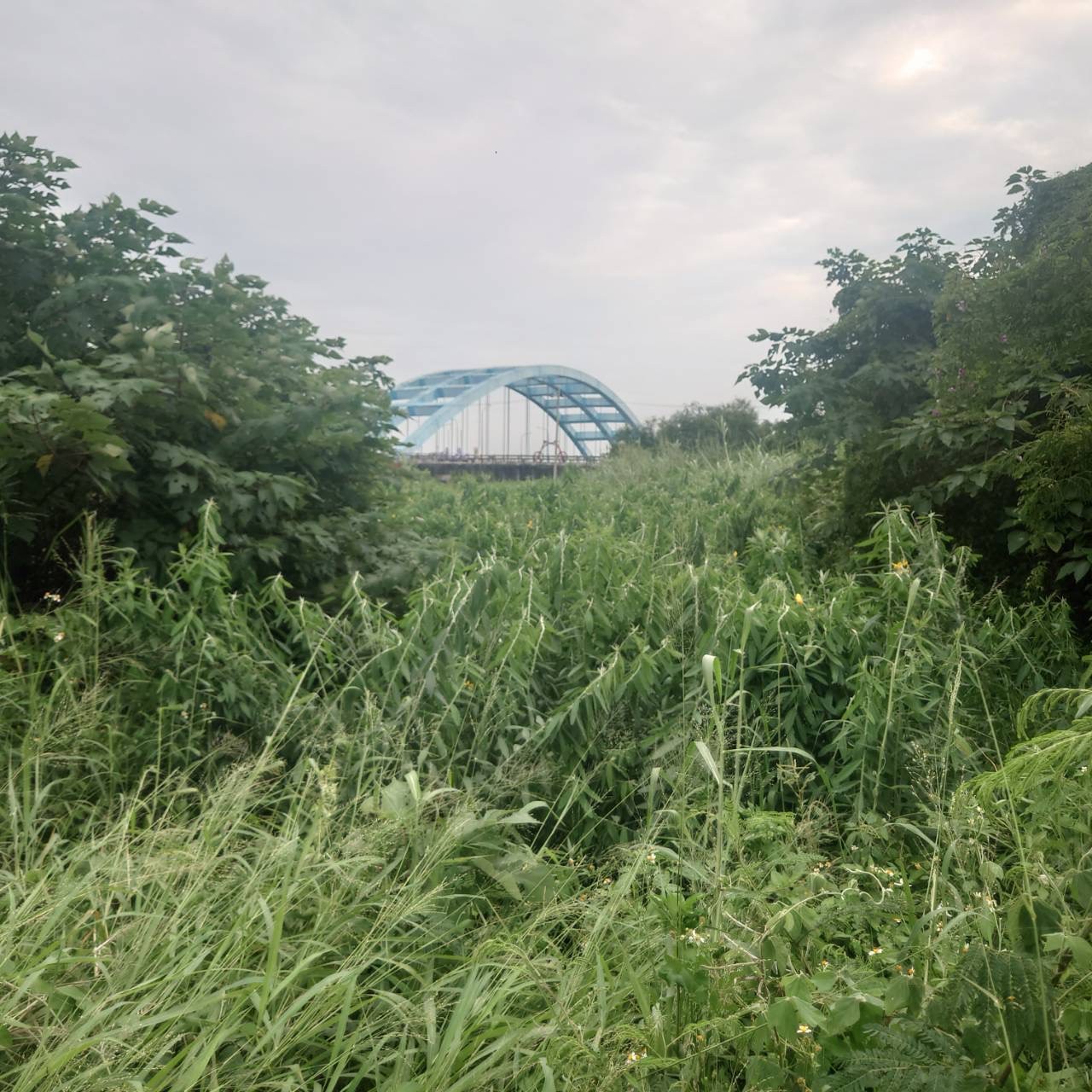 台南學甲華宗橋信義路農地｜都市計畫內｜未來具發展