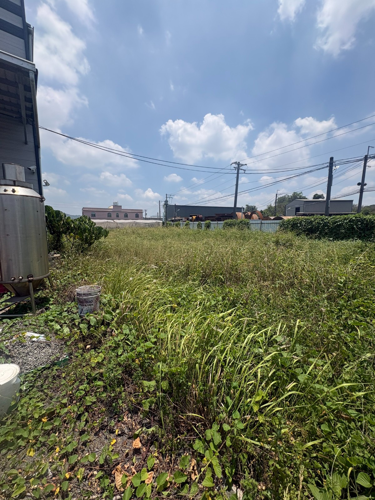 【大社農地 有99碼大電】(28)