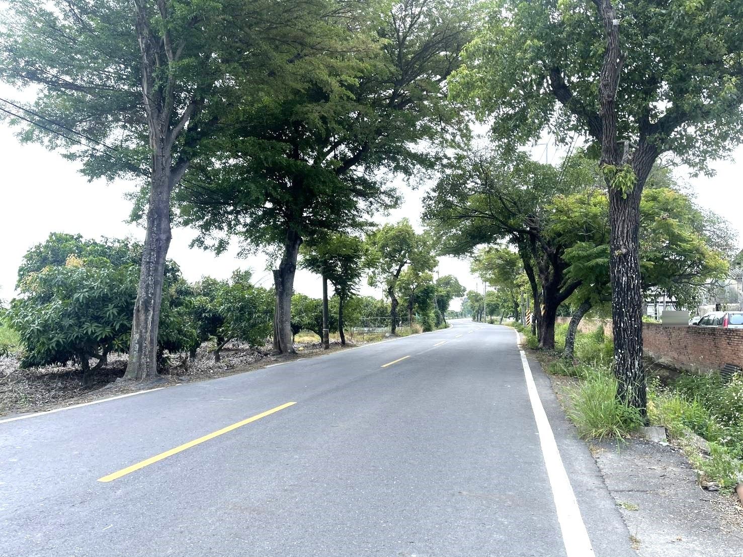 佳里子龍農地送*合法豬舍*