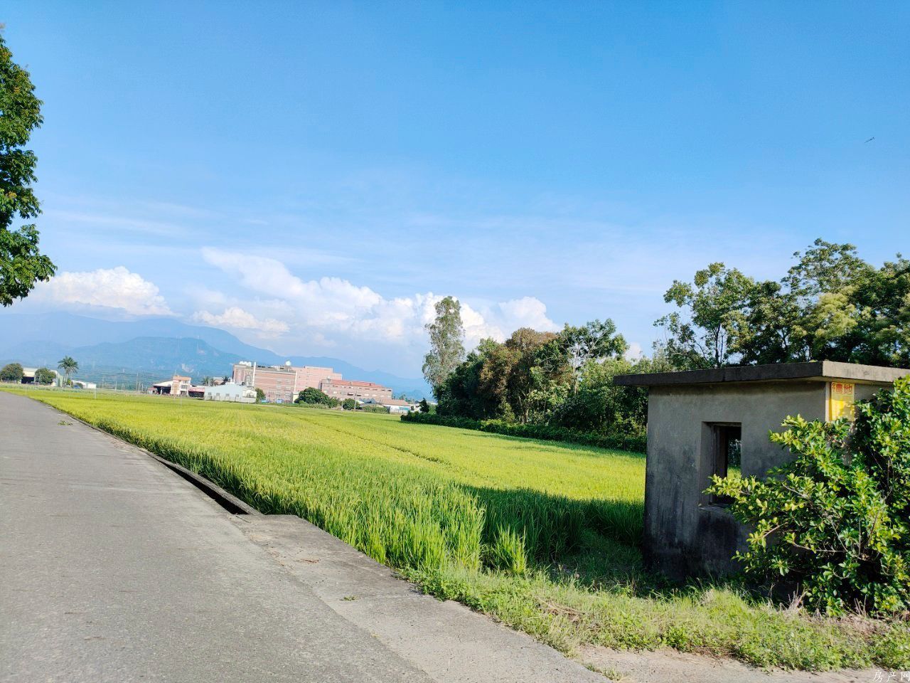 白河國中旁969都內農地