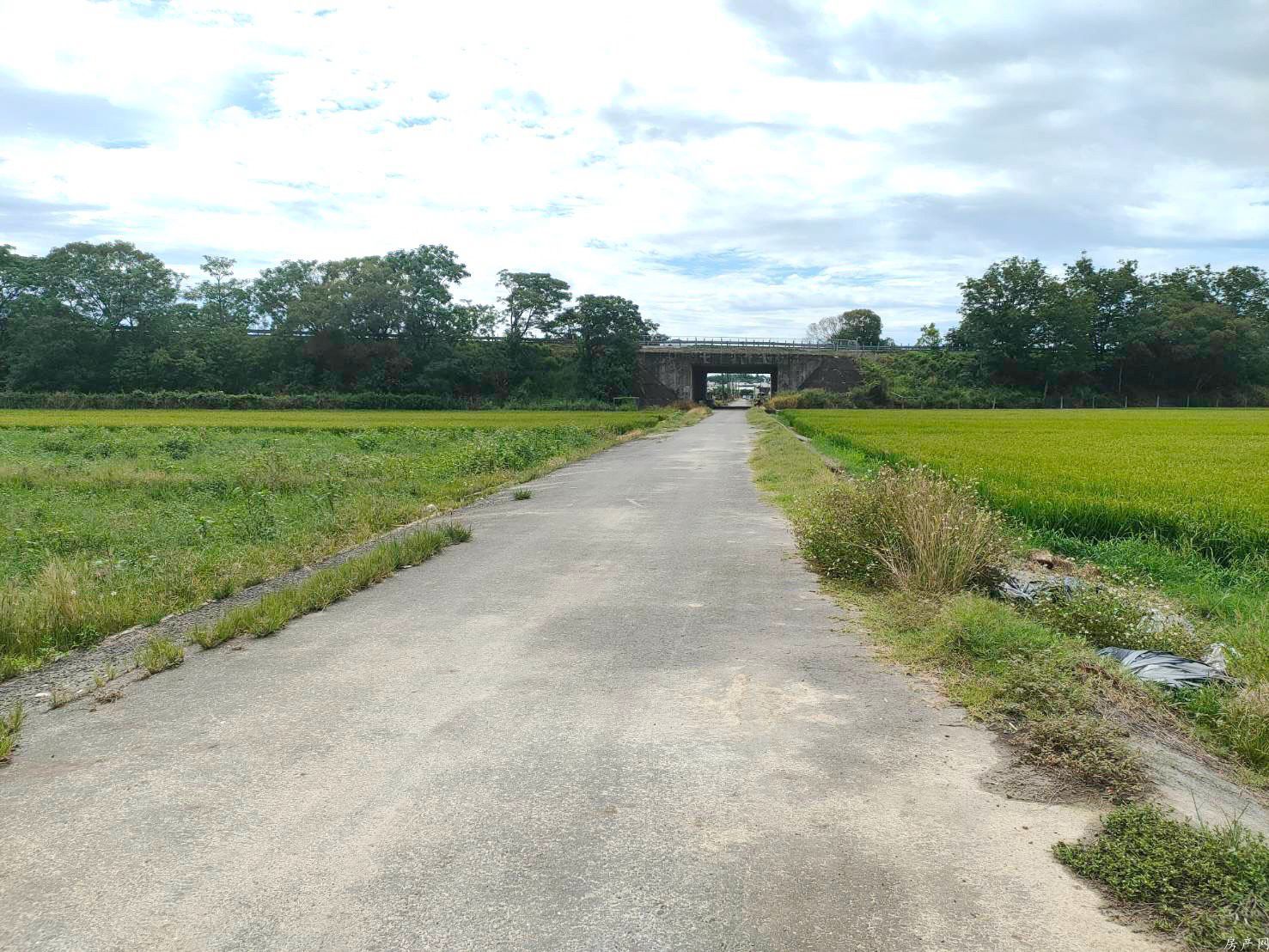 官田近國三都內農地D