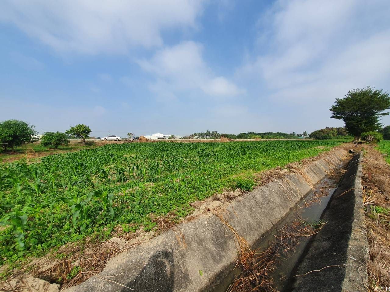 近安南醫院優質農地