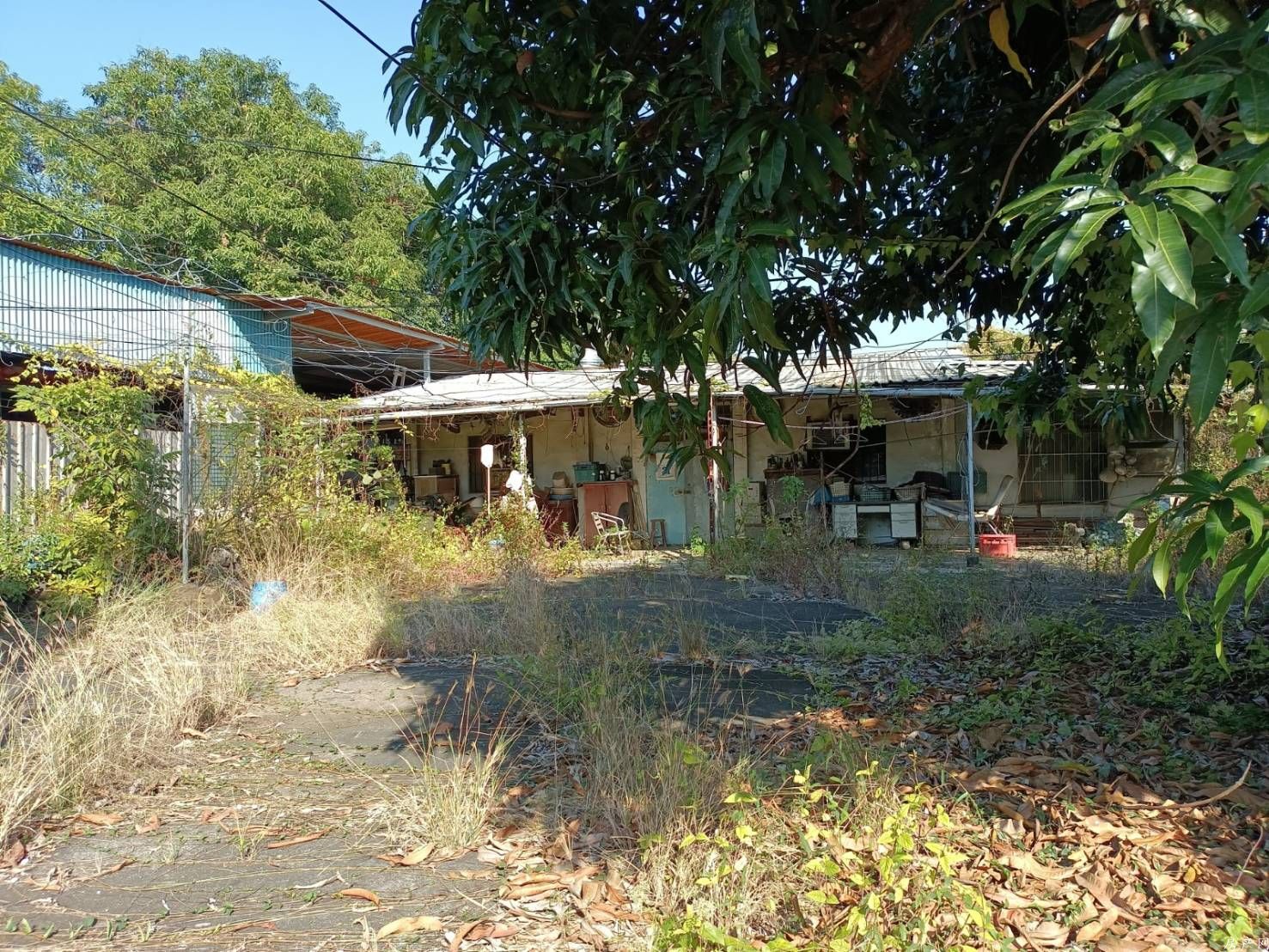 大樹休閒農舍農地