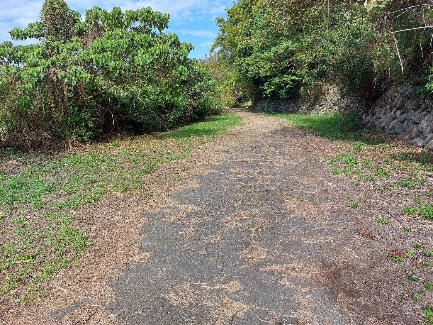 國姓北山丙建+農地