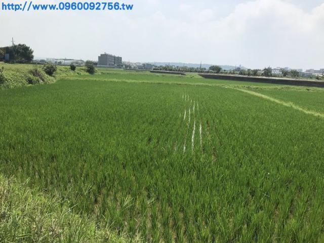 新竹土地買賣 新豐買土地 - 節稅良田460p/820p 新竹土地買賣楊秀惠