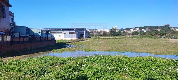新豐鄉建興路持分農地574坪-春明地產-035551111