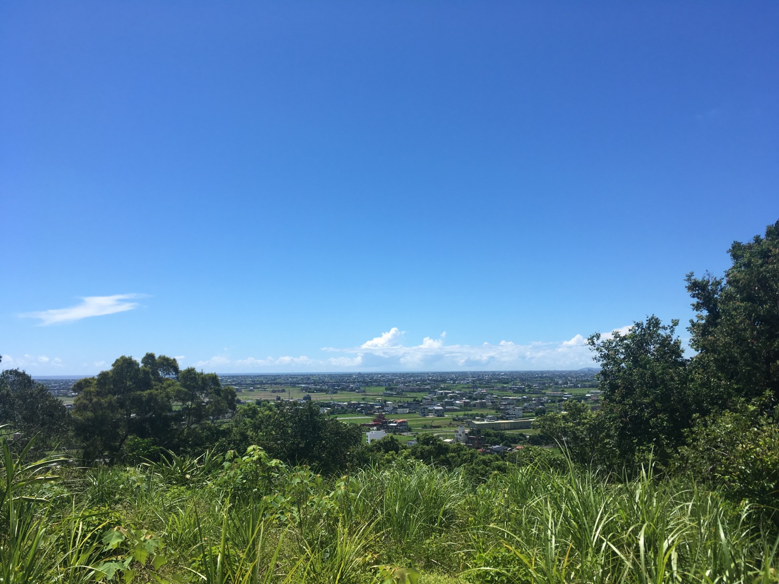 近市區 景觀山坡地-可農保 解套繪