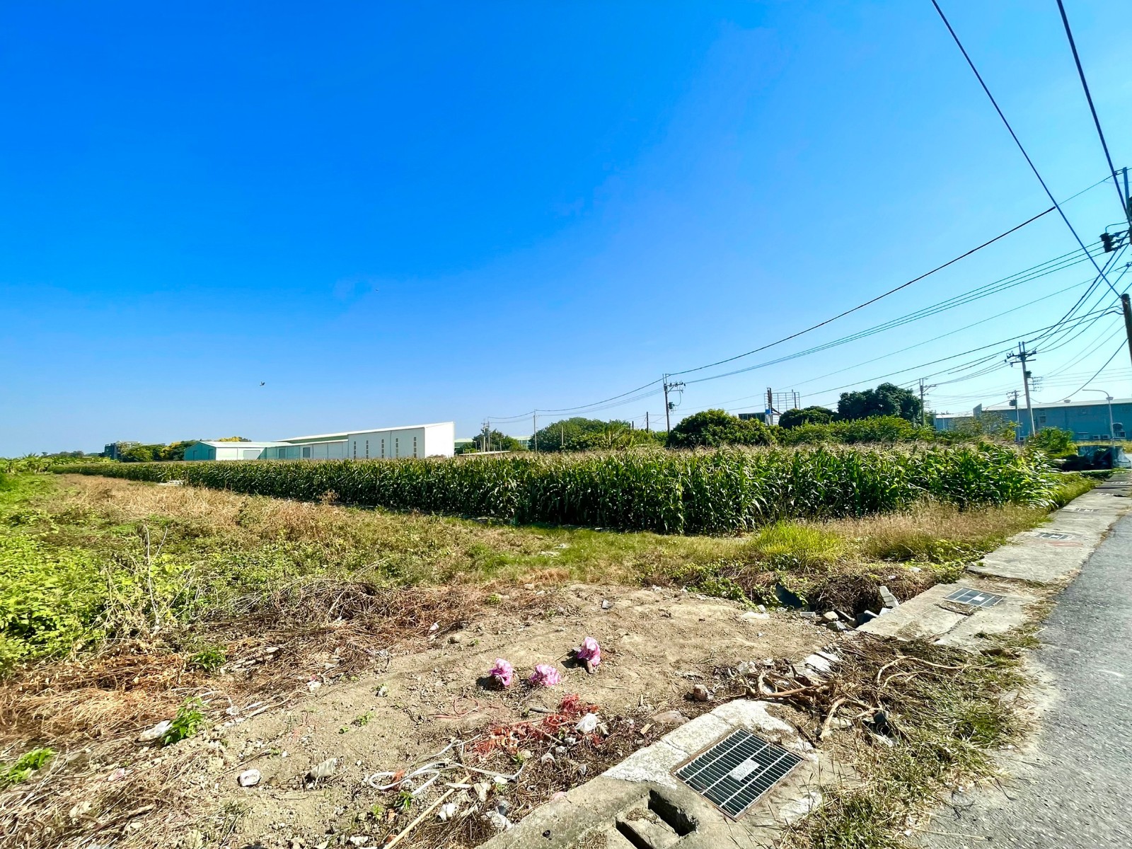 淑貞❤新吉工業區20米路都內農地