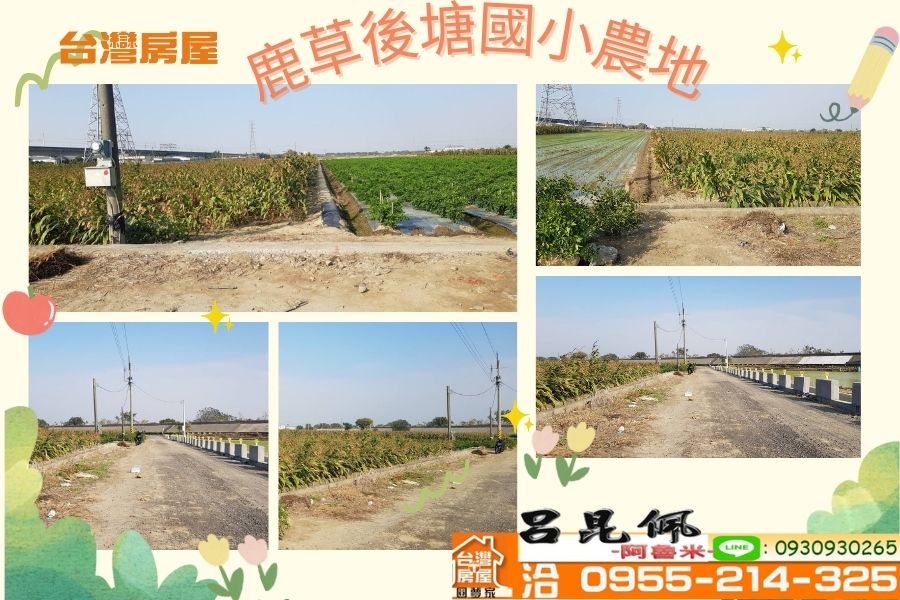 鹿草後塘國小農地~台灣阿魯米