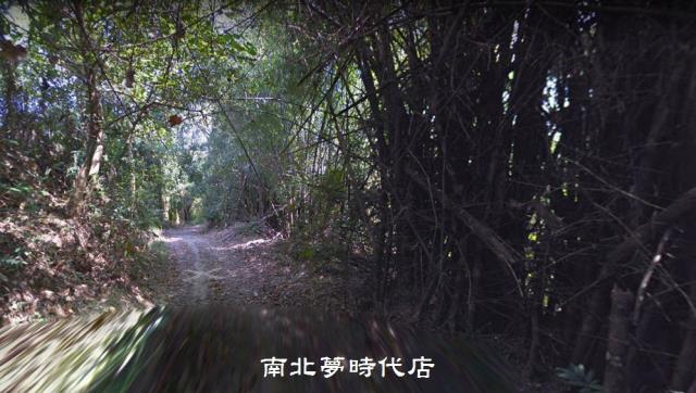 龍崎區~崎頂段-近新化大坑休閒農地-洽0912 012 388 蔡銘勳