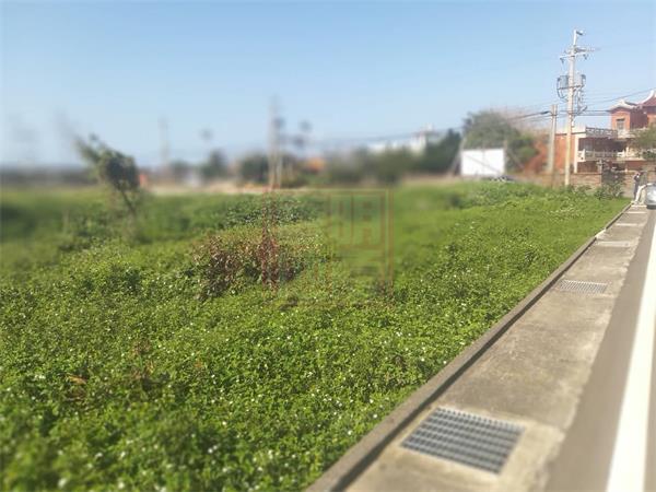 新豐西濱交流道旁農牧用地-春明地產-035551111