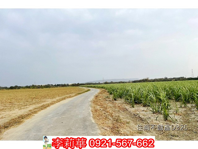 歸仁戀戀沙崙大面積持分農地