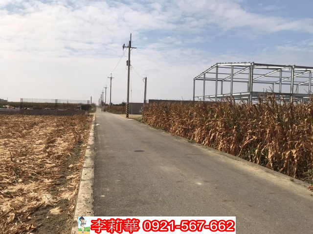 台南鹽水2.8分增值農地