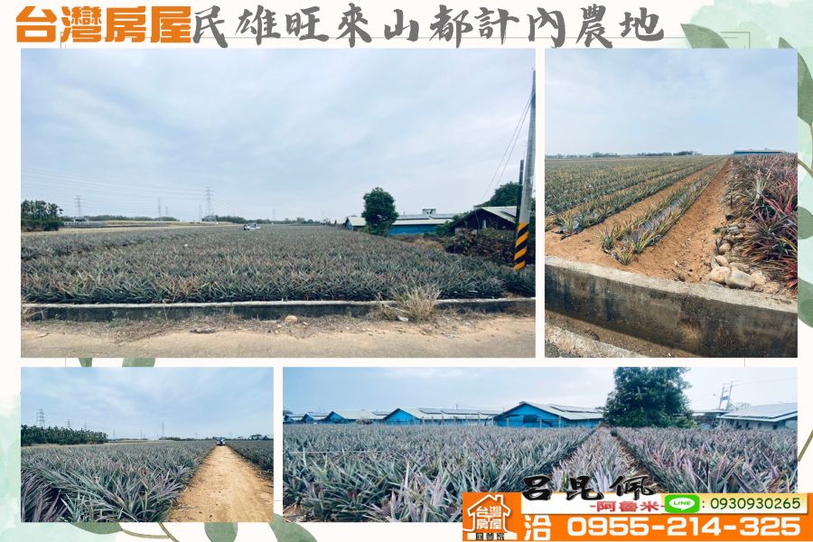 民雄旺萊山都計內農地~台灣阿魯米