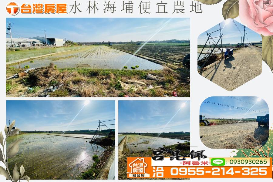 水林海埔便宜農地~台灣阿魯米