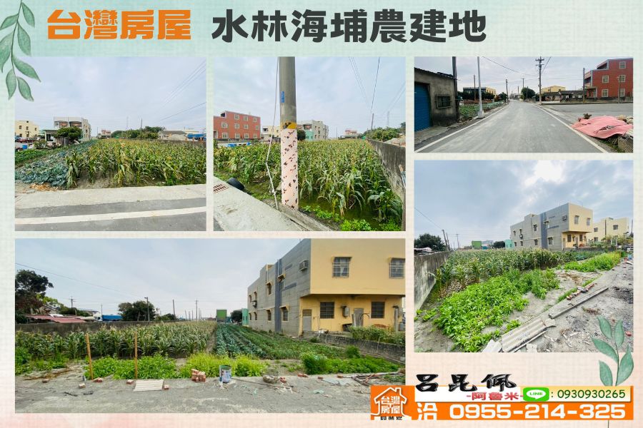 水林海埔農建地~台灣阿魯米