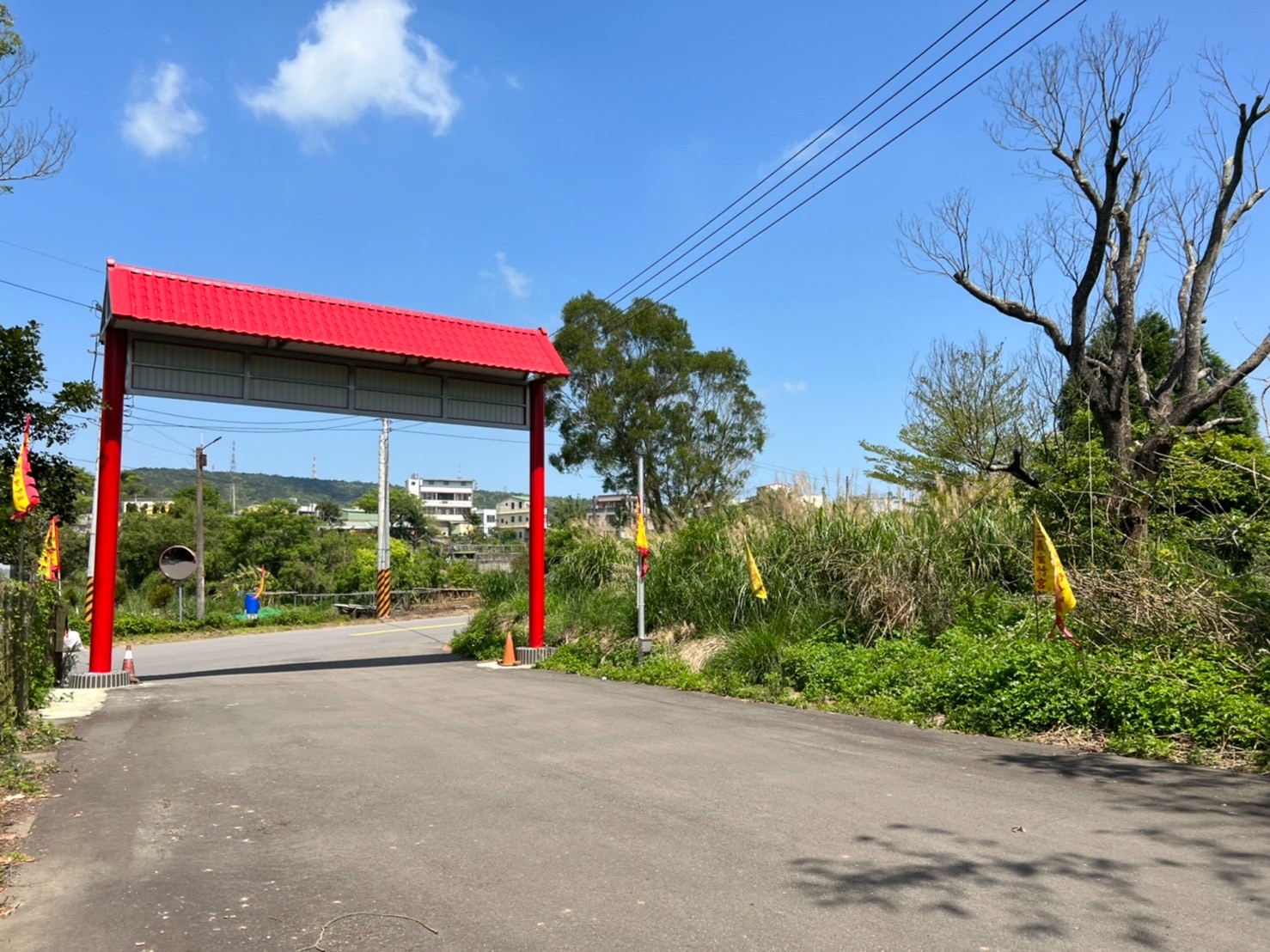 正苗51美農地