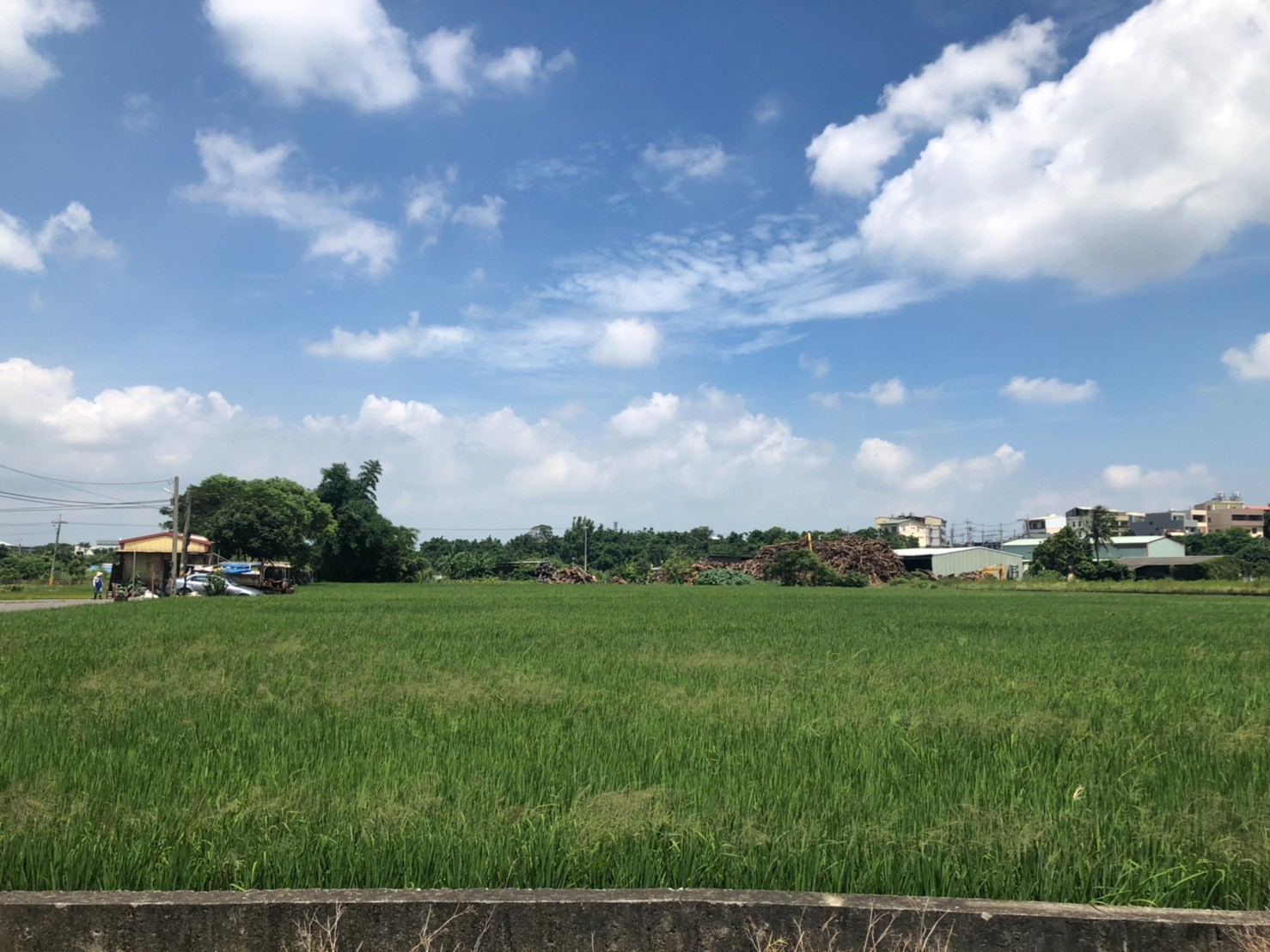賺錢美農地