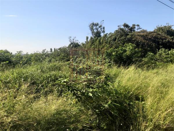 湖口鄉新興路縱貫公路旁丙建+丁建+農地-春明地產-035551111