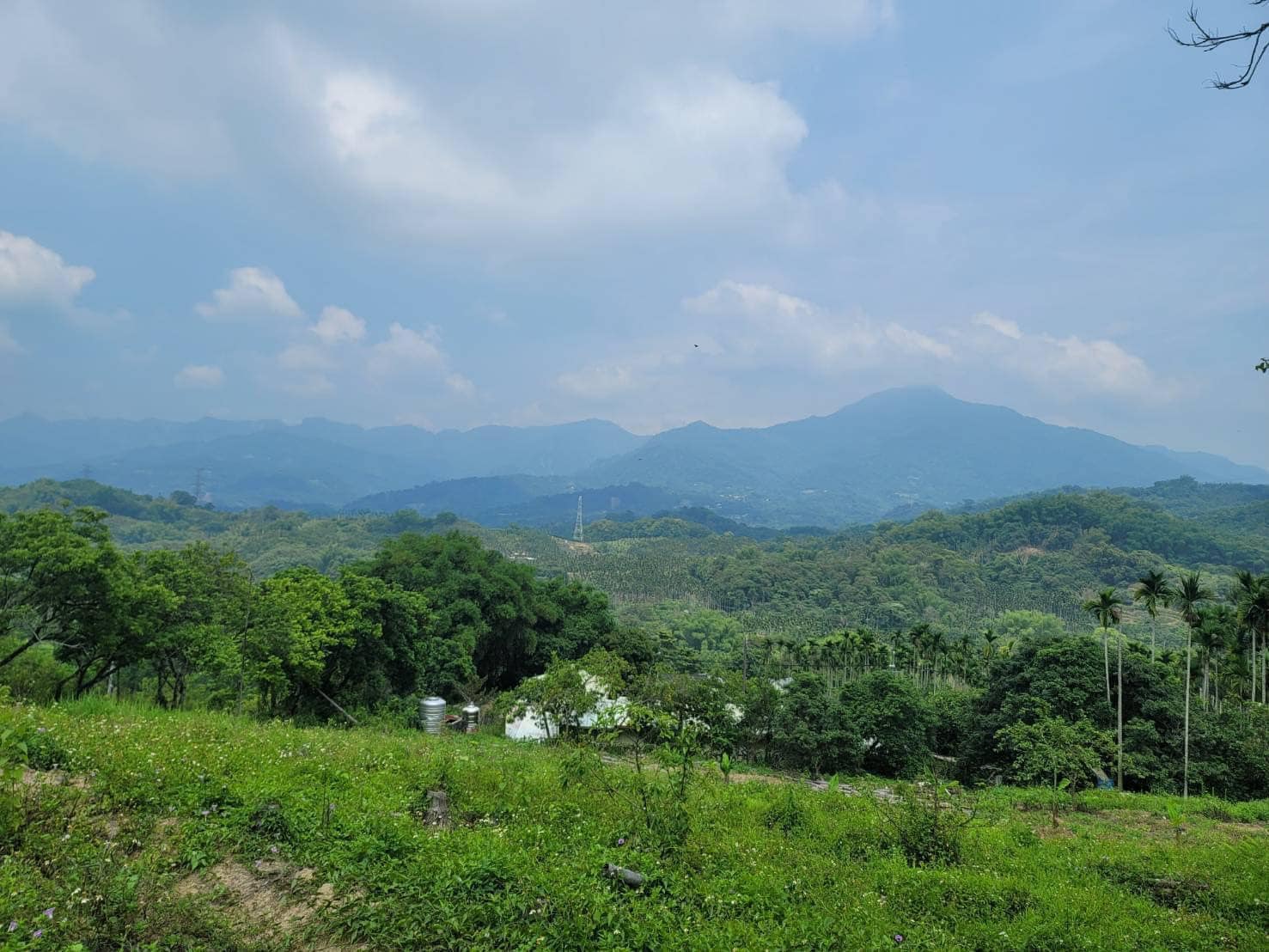 ★(超大可投)【南投中寮139線旁超大平價農地】