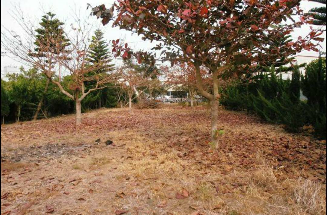 楠西區-中華路面-民族路口-玄空法寺建地-205坪