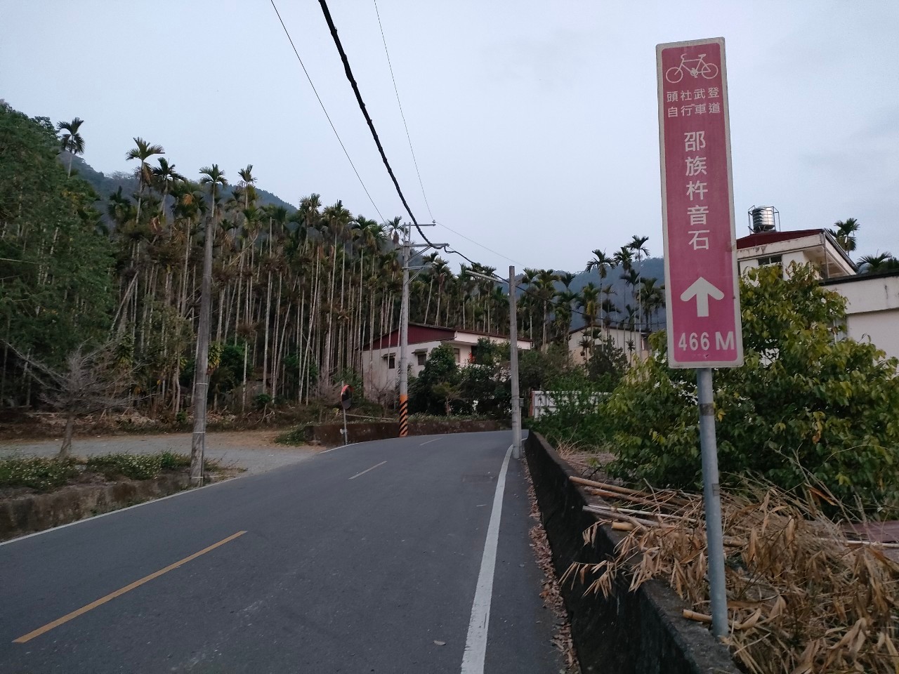 日月潭金針花園旁平坦農地台中買屋賣房,土地王劉志忠