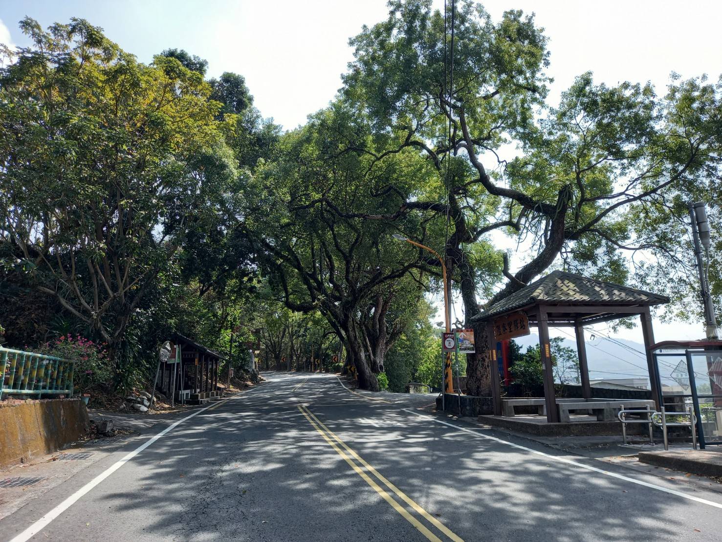 南投集集綠色隧道養生休閒農舍