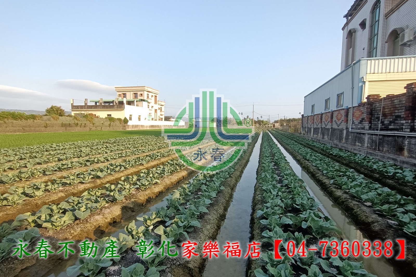 【彰化永春】永靖新莊村美田★專營彰化土地農舍廠房