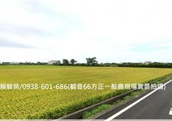 桃園觀音仁愛路【66快速道路】8米路757一般農業區農地