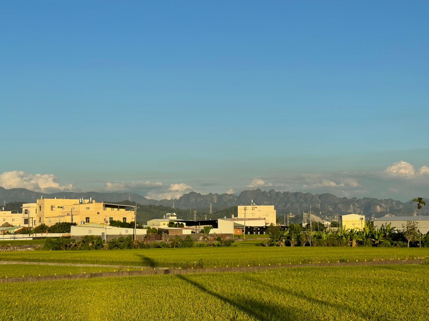 彰化芬園投資自用甲建農地