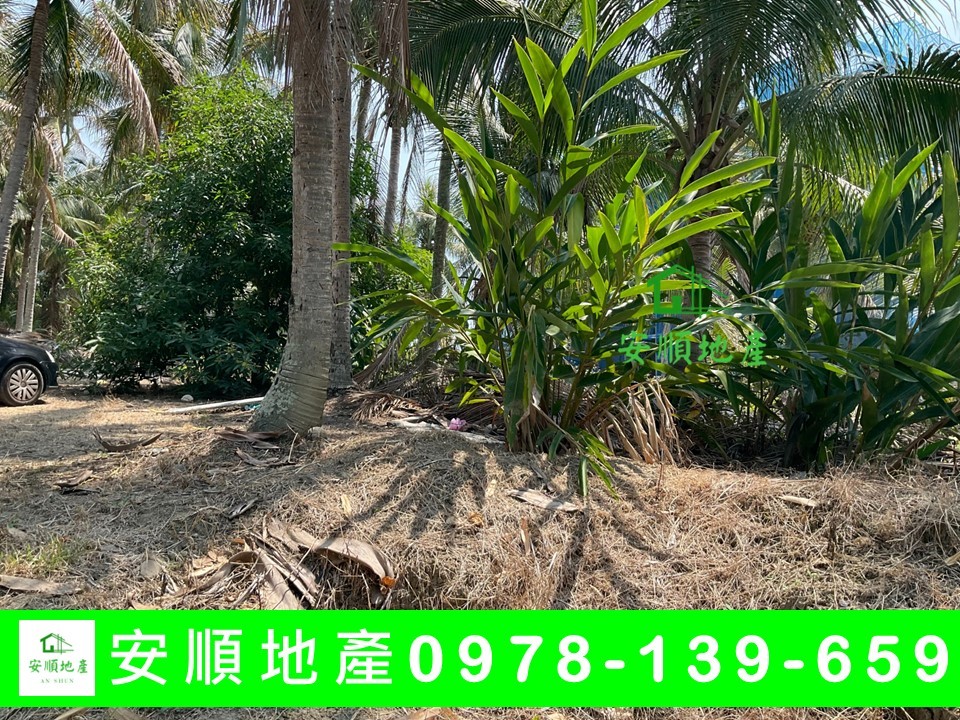 台東農地-南都蘭雙面路農地