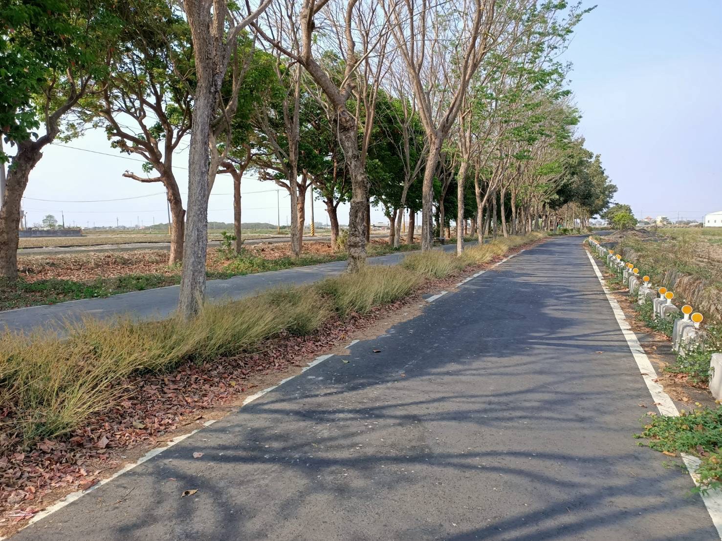 嘉義義竹大面寬525農地#住商卓佳蓉