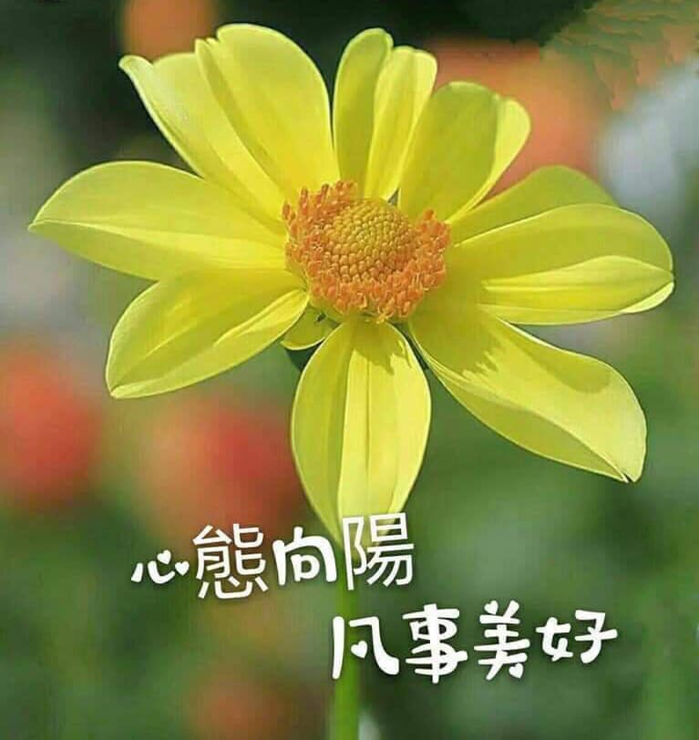 ★（稀有可投)【宜市高鐵特區旁都計1693農建地】
