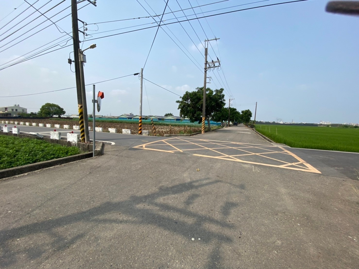 佳里花旗木三角窗農地