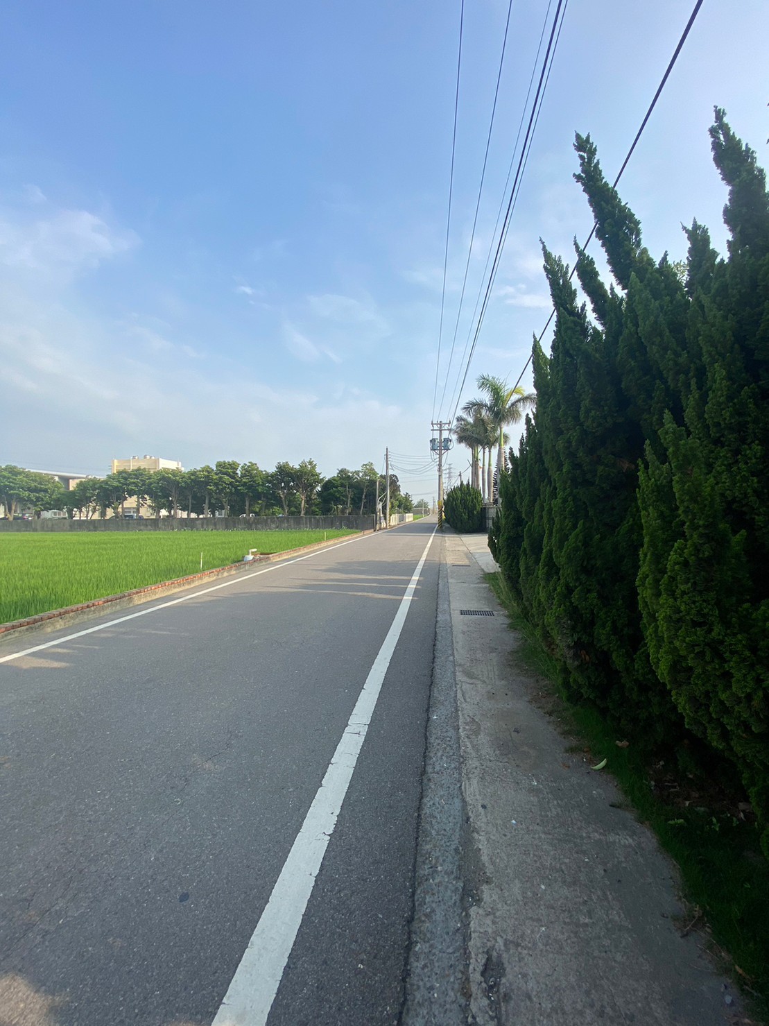 近彰鹿路一彎田地