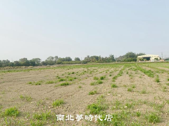 新化區~新化段太子廟小段-新化外環道近產業園區農地-洽0912 012 388 蔡銘勳