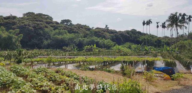 白河近關子嶺農地