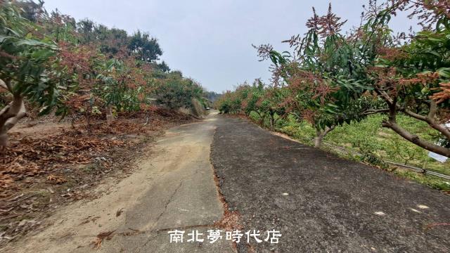 南化退休美農地