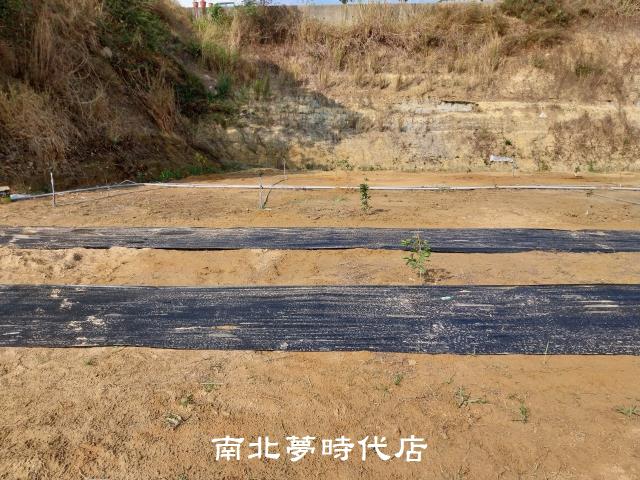 關廟新光彩繪村旁休閒農地