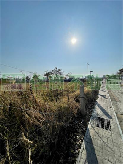 14期 洲際段 建地(216.35)坪
