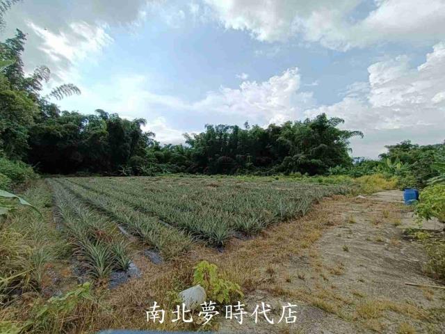 山上農地