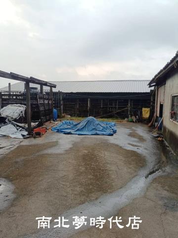 新營畜牧場