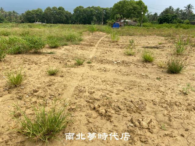 楠西都內農地