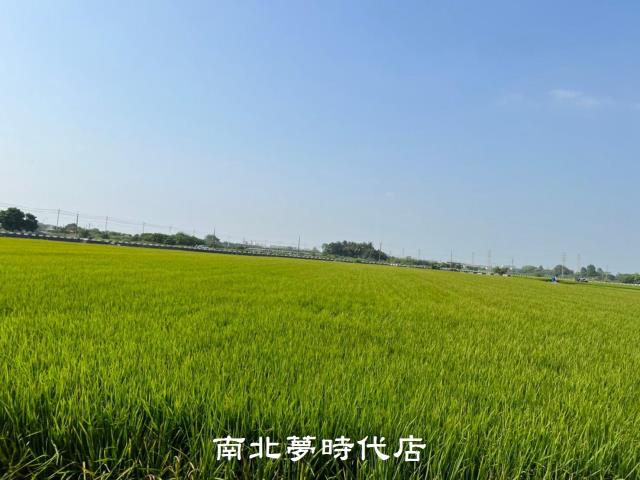 新營帝寶轉運站後都內農地