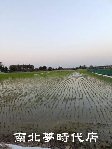 新化農地