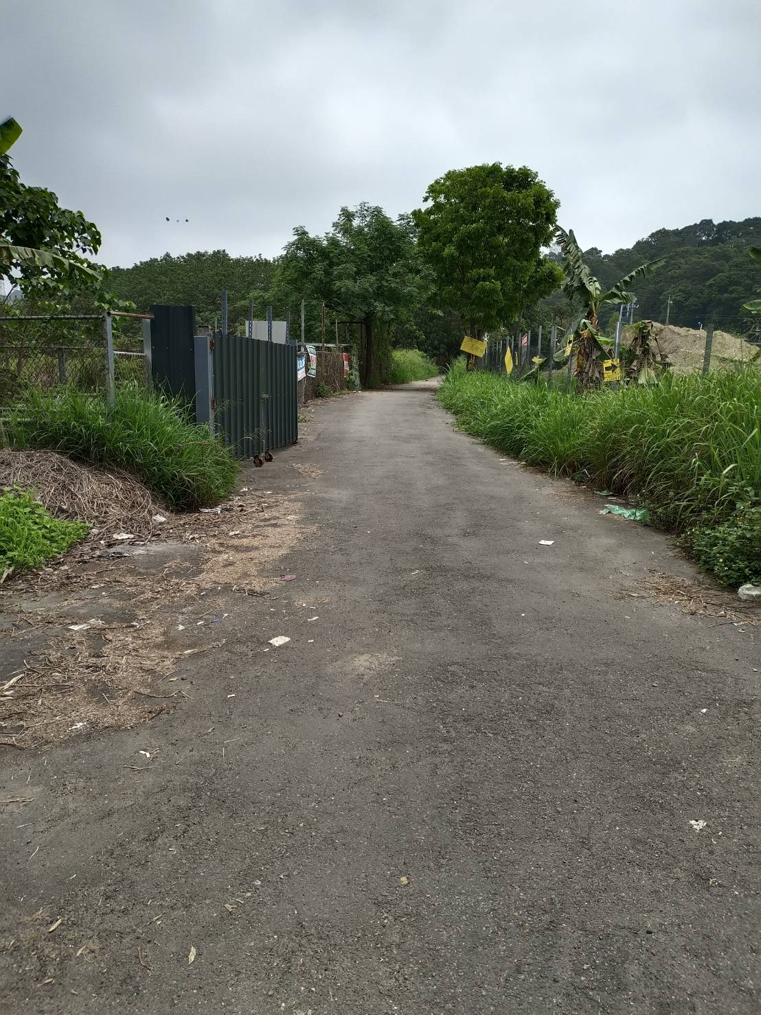 湖山農地