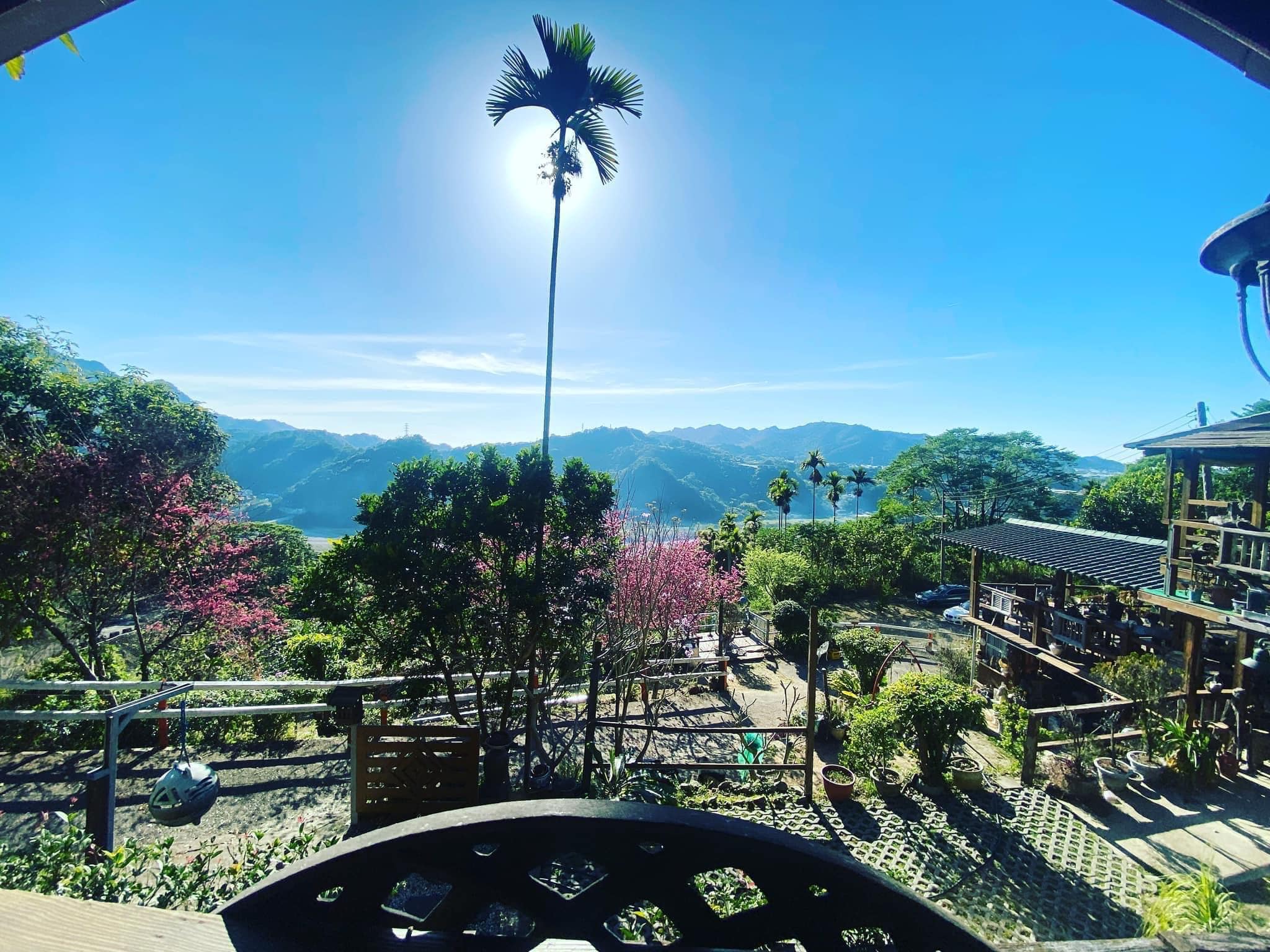 東勢軟埤坑景觀養生休閒農地