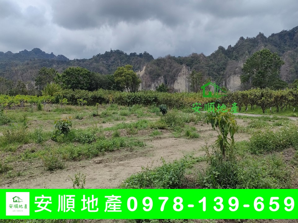 台東農地-利吉水果園農地
